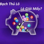 bach thu lo la giai may